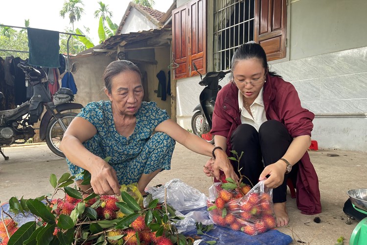 Mùa chôm chôm ở “thủ phủ” trái cây Quảng Ngãi - Anh 5