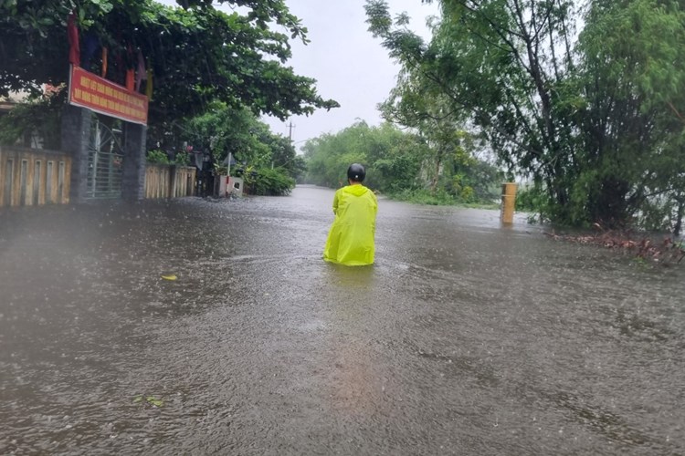 Quảng Nam: Sơ tán 150 hộ dân tránh lũ - Anh 1