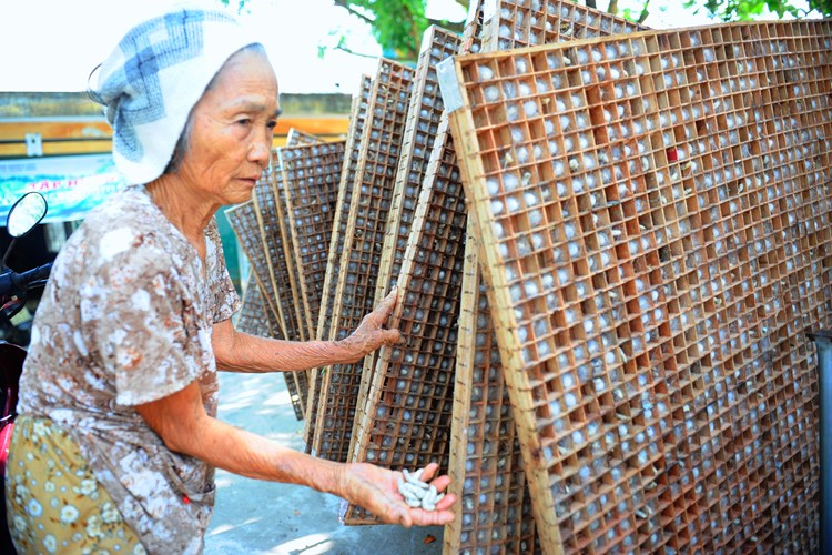 Dâu tằm tơ Việt Nam với giấc mơ vươn ra thế giới - Anh 1
