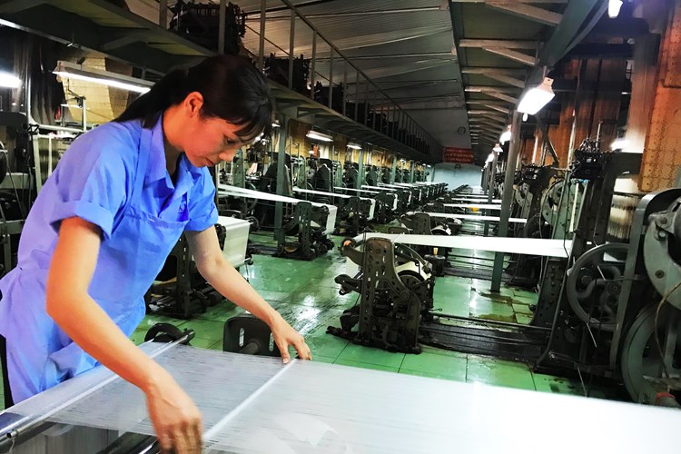 Dâu tằm tơ Việt Nam với giấc mơ vươn ra thế giới - Anh 4