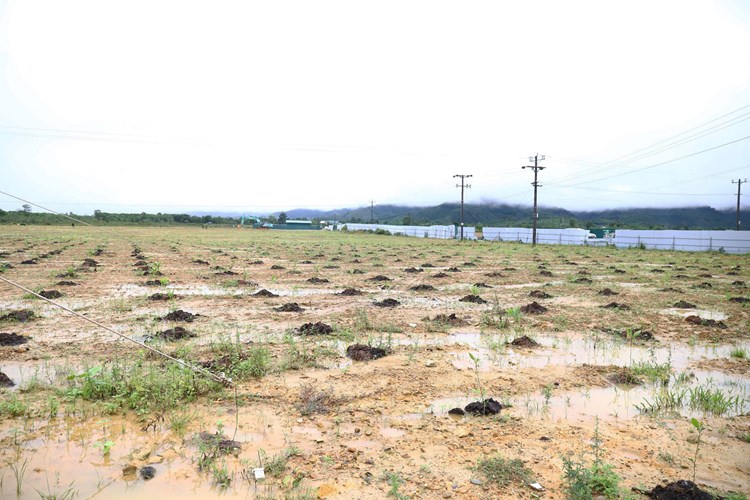 “Hồi sinh” sân bay A So - Anh 4