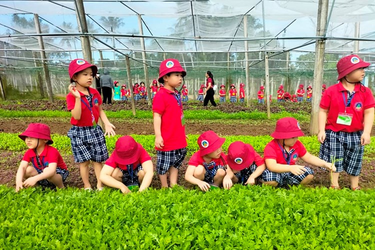 Quảng Ngãi: Trồng hoa làm du lịch - Hướng đi mới của người nông dân - Anh 4