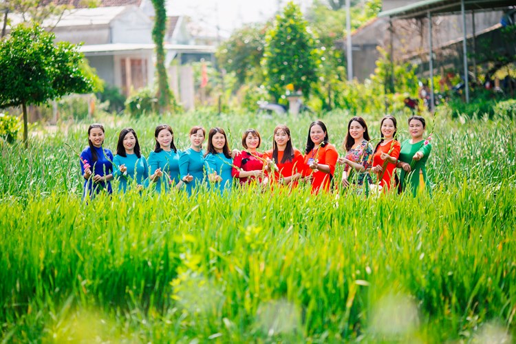 Quảng Ngãi: Trồng hoa làm du lịch - Hướng đi mới của người nông dân - Anh 3