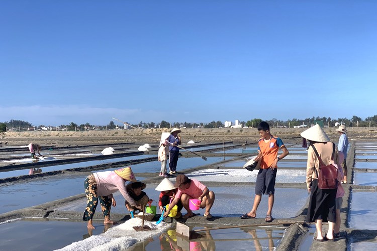 Đánh thức tiềm năng du lịch nông nghiệp, nông thôn ở Quảng Ngãi - Anh 5