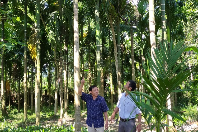 Nông dân “đổi đời” nhờ phát triển kinh tế gia trại - Anh 4