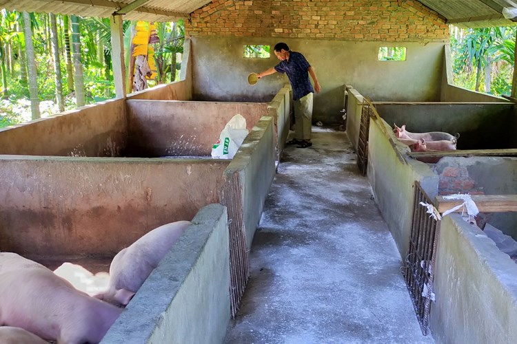 Nông dân “đổi đời” nhờ phát triển kinh tế gia trại - Anh 1