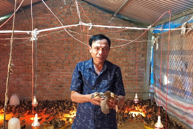 Nông dân “đổi đời” nhờ phát triển kinh tế gia trại - Anh 5