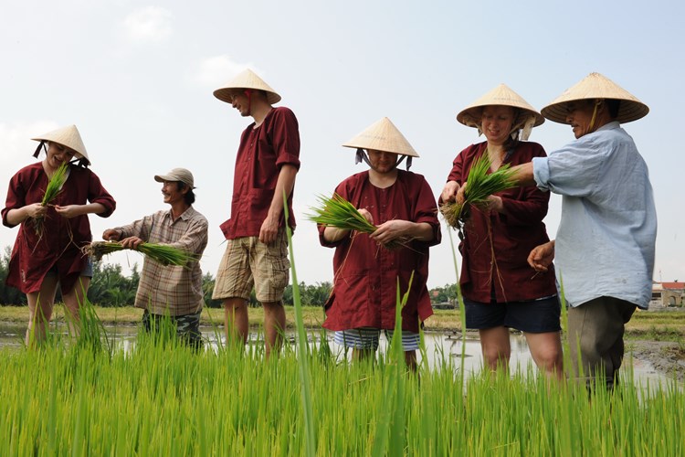 Bảo tồn làng nghề truyền thống, phát triển bền vững du lịch xanh - Anh 1