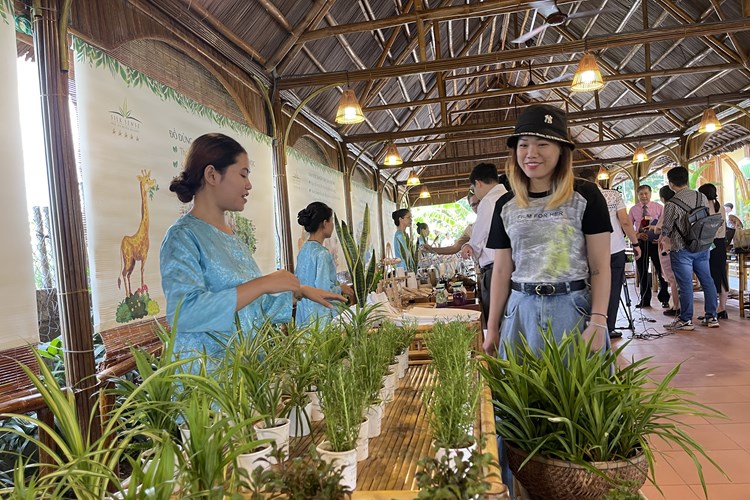 Quảng Nam: Thành lập Hội đồng thẩm định, đánh giá,cấp chứng nhận du lịch xanh - Anh 2