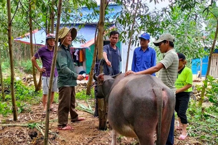 Huyện Nghĩa Hành với phong trào “Vì người nghèo - Không để người nghèo bị bỏ lại phía sau” - Anh 4