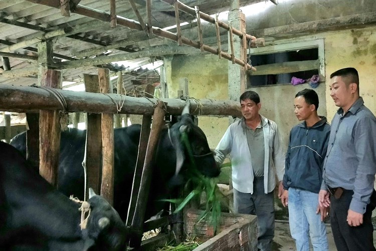Nghĩa Hành: Xã Hành Trung chú trọng công tác giảm nghèo, nâng cao thu nhập cho người dân - Anh 7
