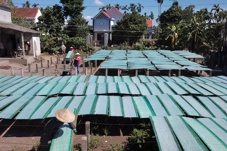 Nghĩa Hành: Xã Hành Trung chú trọng công tác giảm nghèo, nâng cao thu nhập cho người dân - Anh 1