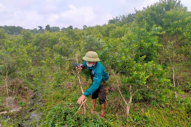Thúc đẩy hoạt động khởi nghiệp đổi mới sáng tạo trong lĩnh vực dược liệu - Anh 2