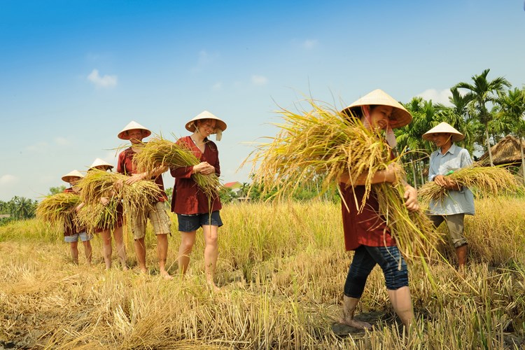 Phát huy vai trò chủ thể của người dân trong du lịch làng nghề - Anh 2