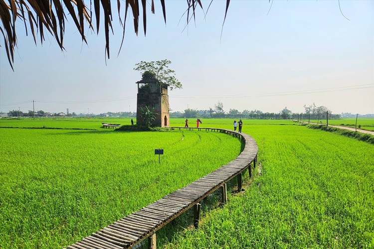 Khởi nghiệp bền vững với du lịch xanh gắn với nông nghiệp, nông thôn - Anh 1