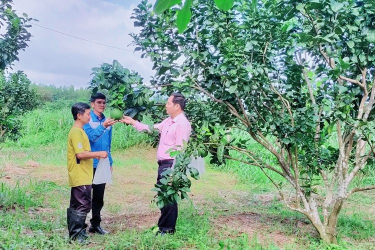 Tuổi trẻ Nghĩa Hành chung tay thực hiện giảm nghèo - Anh 1