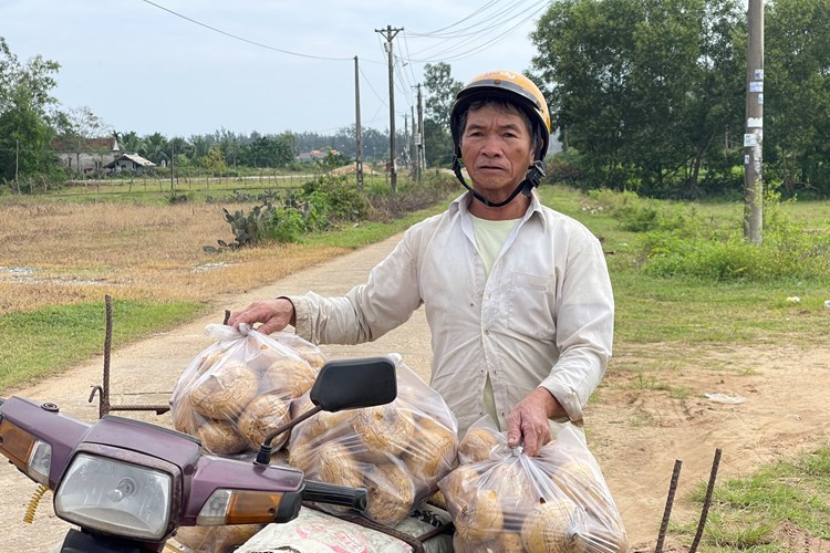 Quảng Ngãi: Sắn bán không được, nông dân “ngậm đắng nuốt cay” đổ bỏ - Anh 5