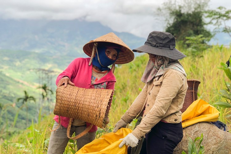 Giữ gìn nghề đan gùi truyền thống của đồng bào Cor - Anh 3