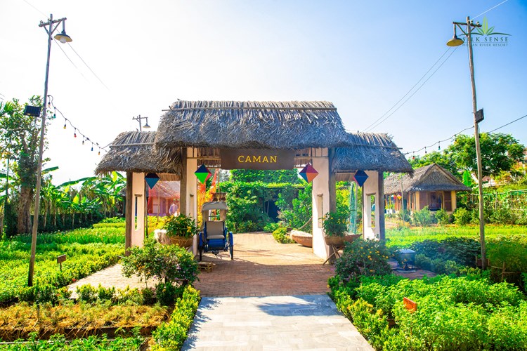Lễ công bố 