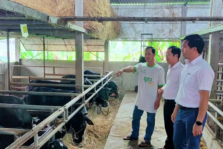 Quảng Ngãi: Thị trấn Chợ Chùa đẩy mạnh phát triển kinh tế, giảm nghèo bền vững - Anh 2