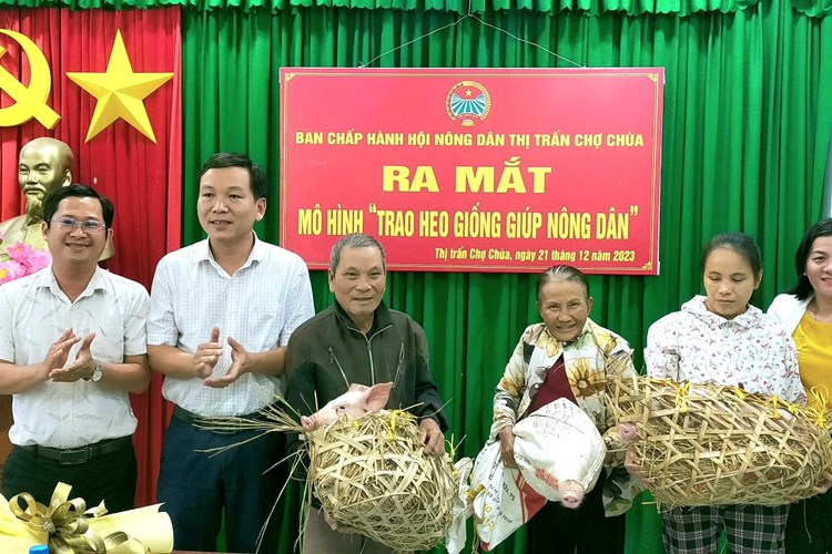 Quảng Ngãi: Thị trấn Chợ Chùa đẩy mạnh phát triển kinh tế, giảm nghèo bền vững - Anh 4