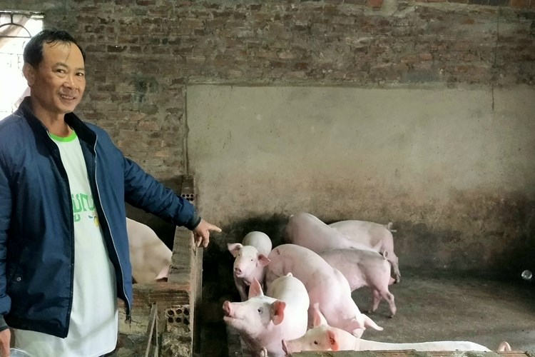 Quảng Ngãi: Thị trấn Chợ Chùa đẩy mạnh phát triển kinh tế, giảm nghèo bền vững - Anh 3