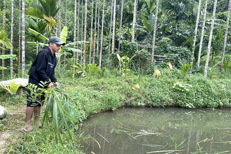 Xã Hành Dũng (Nghĩa Hành): Gắn đào tạo nghề và giải quyết việc làm cho thanh niên nông thôn - Anh 5