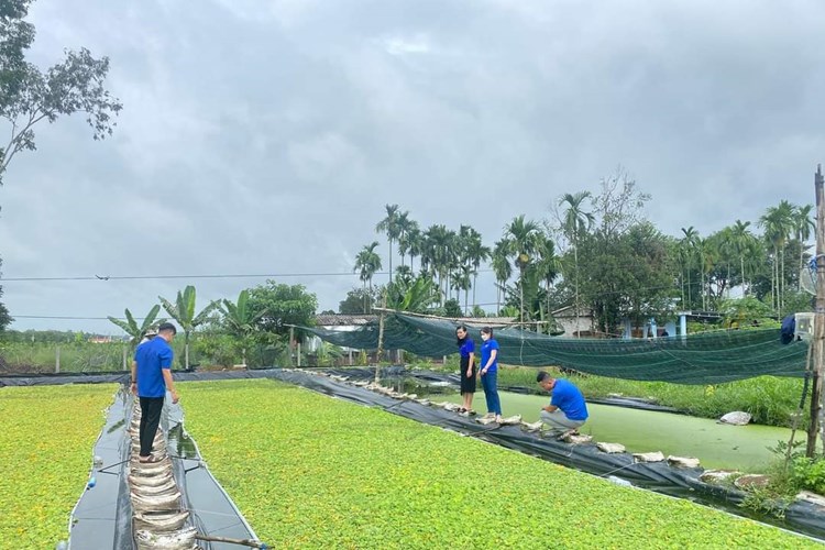 Xã Hành Dũng (Nghĩa Hành): Gắn đào tạo nghề và giải quyết việc làm cho thanh niên nông thôn - Anh 6