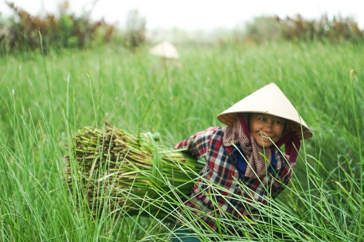 Phát triển du lịch nông thôn từ văn hoá bản địa - Anh 2