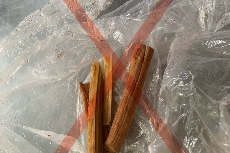 Nghi dùng rễ cây rừng nấu nước uống, bốn người thương vong - Anh 1