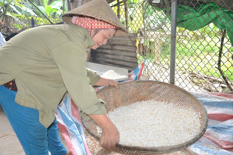 Thơm ngon bánh nổ nếp ngự Sa Huỳnh - Anh 7
