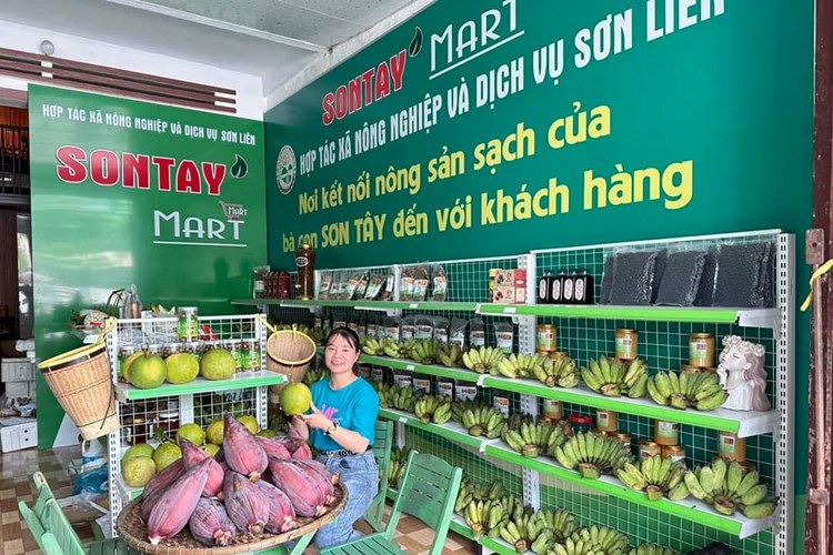 Nữ Giám đốc HTX “truyền lửa” thoát nghèo cho đồng bào CaDong - Anh 2