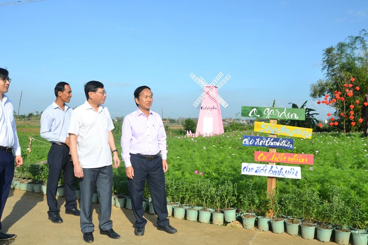 Cánh đồng hoa Nghĩa Hà mở cửa đón khách - Anh 5