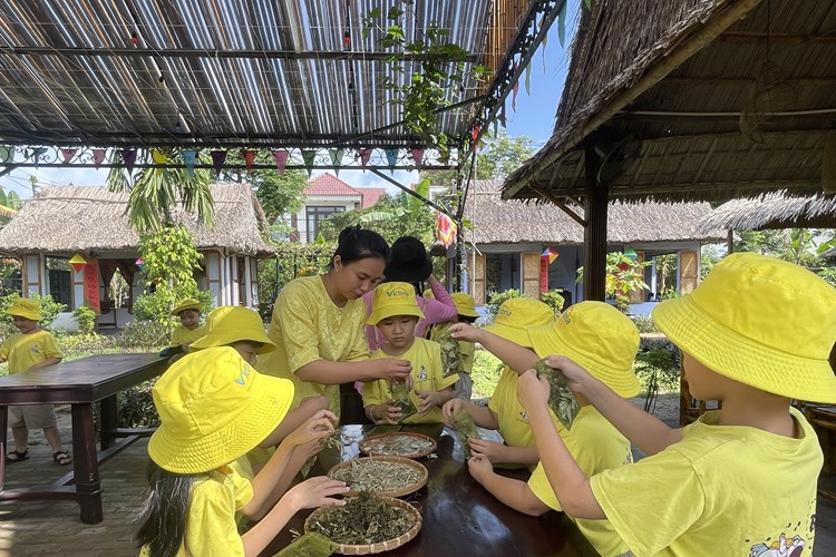 Hiệu quả từ tiếp cận chứng chỉ du lịch xanh tại Quảng Nam - Anh 1