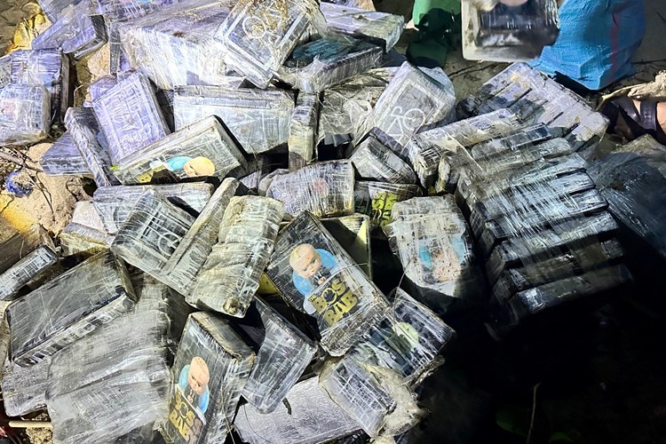 Quảng Ngãi: Sử dụng chó nghiệp vụ tìm kiếm khu vực phát hiện gần 287kg nghi ma túy - Anh 2