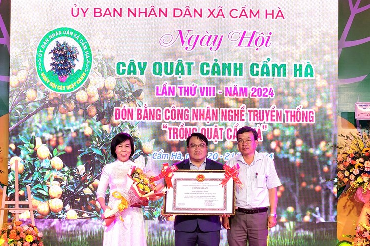 Rộn ràng ngày hội quật cảnh Cẩm Hà - Anh 1