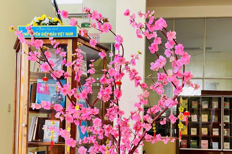 Quảng Nam: Trưng bày sách báo mừng Đảng mừng Xuân - Anh 2