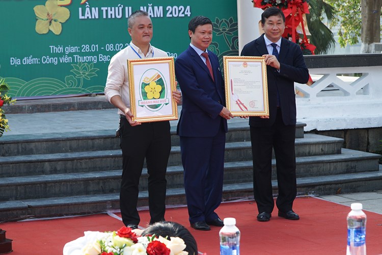 Ngắm những tuyệt tác Hoàng mai xứ Huế - Anh 2