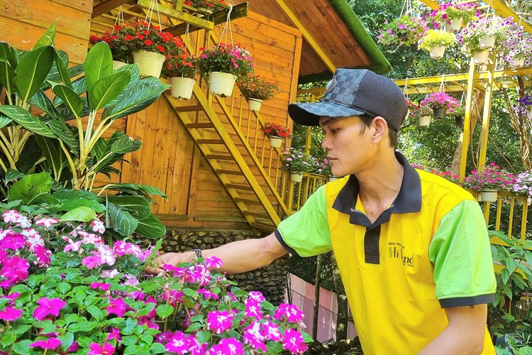 Du lịch Quảng Ngãi sẵn sàng đón khách du xuân - Anh 1
