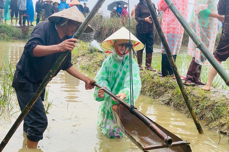 Đón Tết xanh tại Quảng Nam - Anh 2