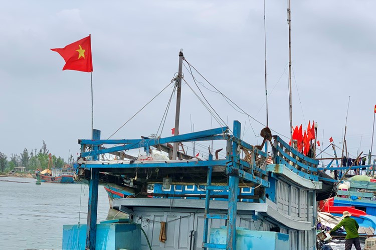 Ngư dân Quảng Ngãi vươn khơi xuyên Tết, đón giao thừa trên biển - Anh 1