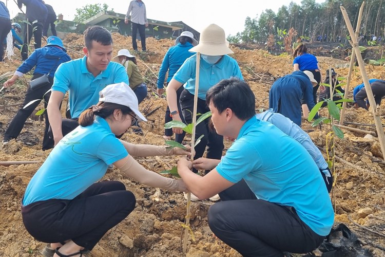 Quảng Ngãi phát động “Tết trồng cây nhớ ơn Bác Hồ” - Anh 3