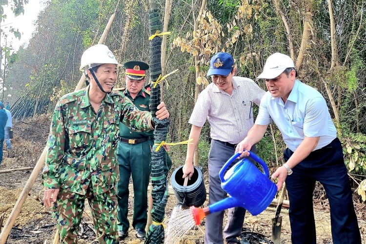 Quảng Ngãi phát động “Tết trồng cây nhớ ơn Bác Hồ” - Anh 1