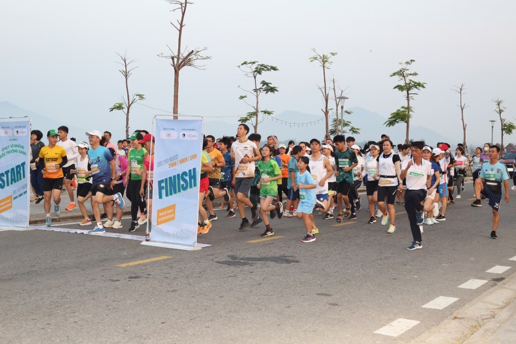 Chạy vì những ngôi trường xanh - Anh 2