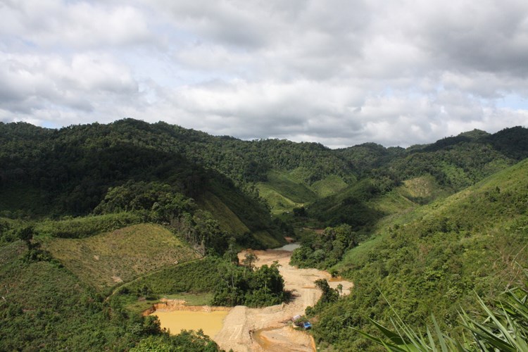 Kiến nghị bổ sung tỉnh Quảng Nam vào Chương trình giảm phát thải từ REDD+ theo tiêu chuẩn TREES vùng Nam Trung Bộ và Tây Nguyên - Anh 1