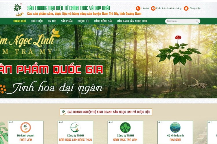 Quảng Nam: Khai trương sàn thương mại điện tử sâm Ngọc Linh - Anh 2