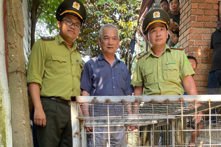 Huế: Người dân giao nộp cá thể trăn đất nặng 85kg cho kiểm lâm - Anh 1