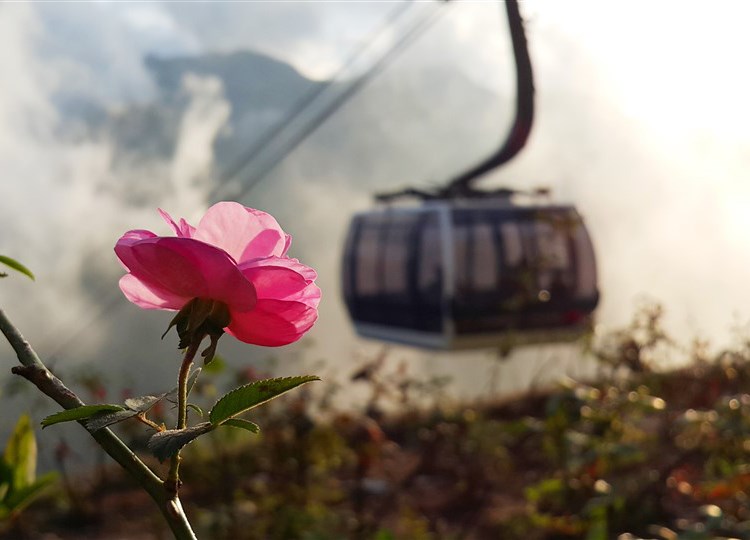 Du khách phấn khích đổ về Fansipan ngắm băng giá, trẩy Hội xuân mở cổng trời và chiêm bái xá lợi Phật - Anh 1