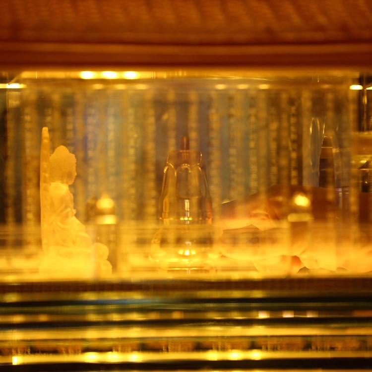 Du khách phấn khích đổ về Fansipan ngắm băng giá, trẩy Hội xuân mở cổng trời và chiêm bái xá lợi Phật - Anh 8