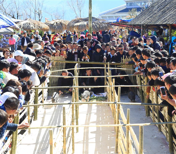 Du khách phấn khích đổ về Fansipan ngắm băng giá, trẩy Hội xuân mở cổng trời và chiêm bái xá lợi Phật - Anh 5